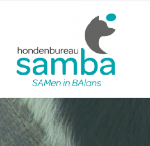 Hondenbureau Samba - Huisstijl ontwerp